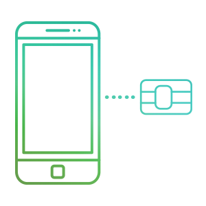 SIM Card & Overlay